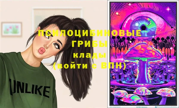 СК Бородино