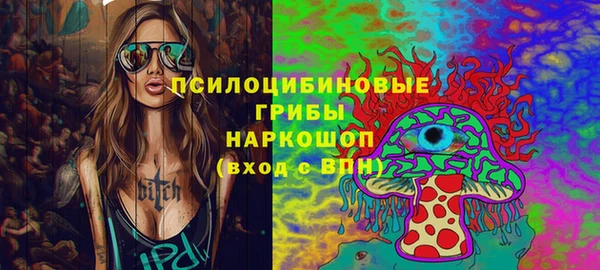 ешки Бронницы