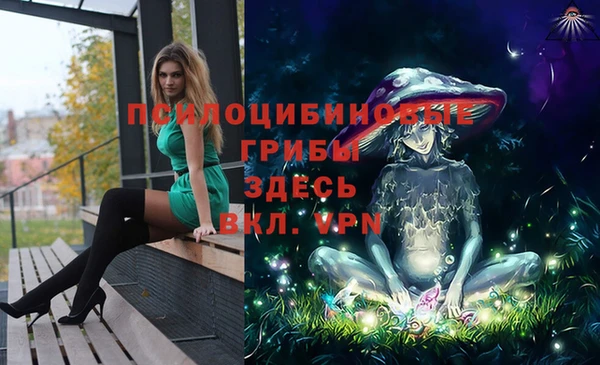 apvp Бугульма