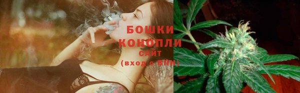ешки Бронницы