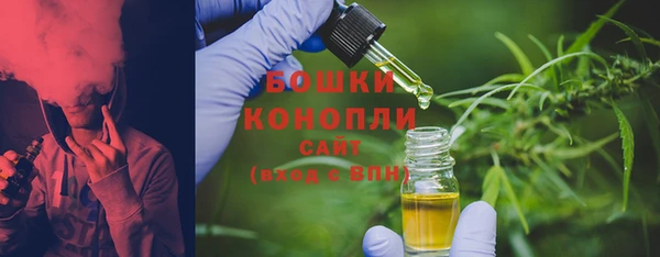СК Бородино