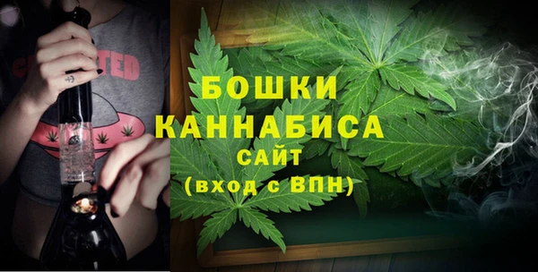 СК Бородино