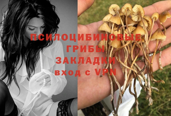 apvp Бугульма