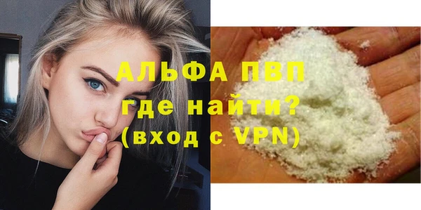 СК Бородино